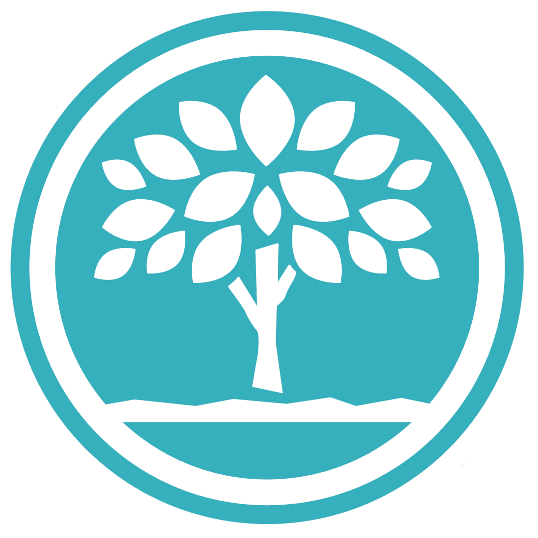 Ejemplo de informes financieros generados por el software